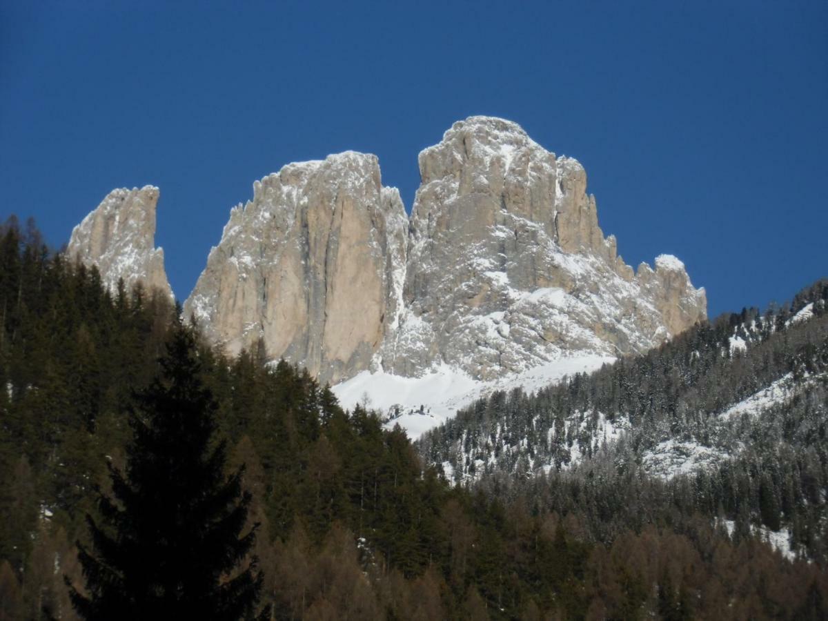 Garni Festil Hotel Campitello di Fassa Buitenkant foto
