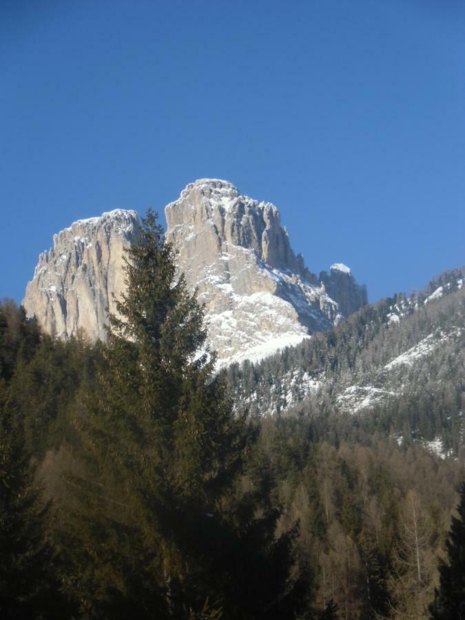 Garni Festil Hotel Campitello di Fassa Buitenkant foto