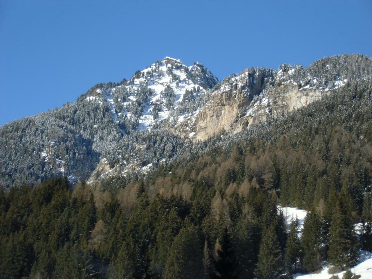 Garni Festil Hotel Campitello di Fassa Buitenkant foto
